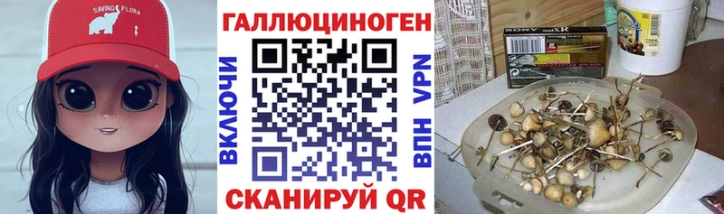 Галлюциногенные грибы мухоморы  купить  цена  Рудня 